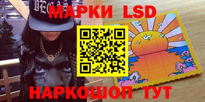СК Обь