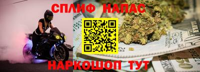СК Обь