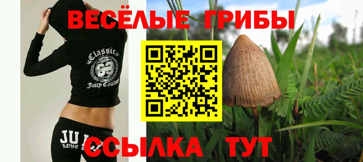 Псилоцибиновые грибы мухоморы Краснокамск